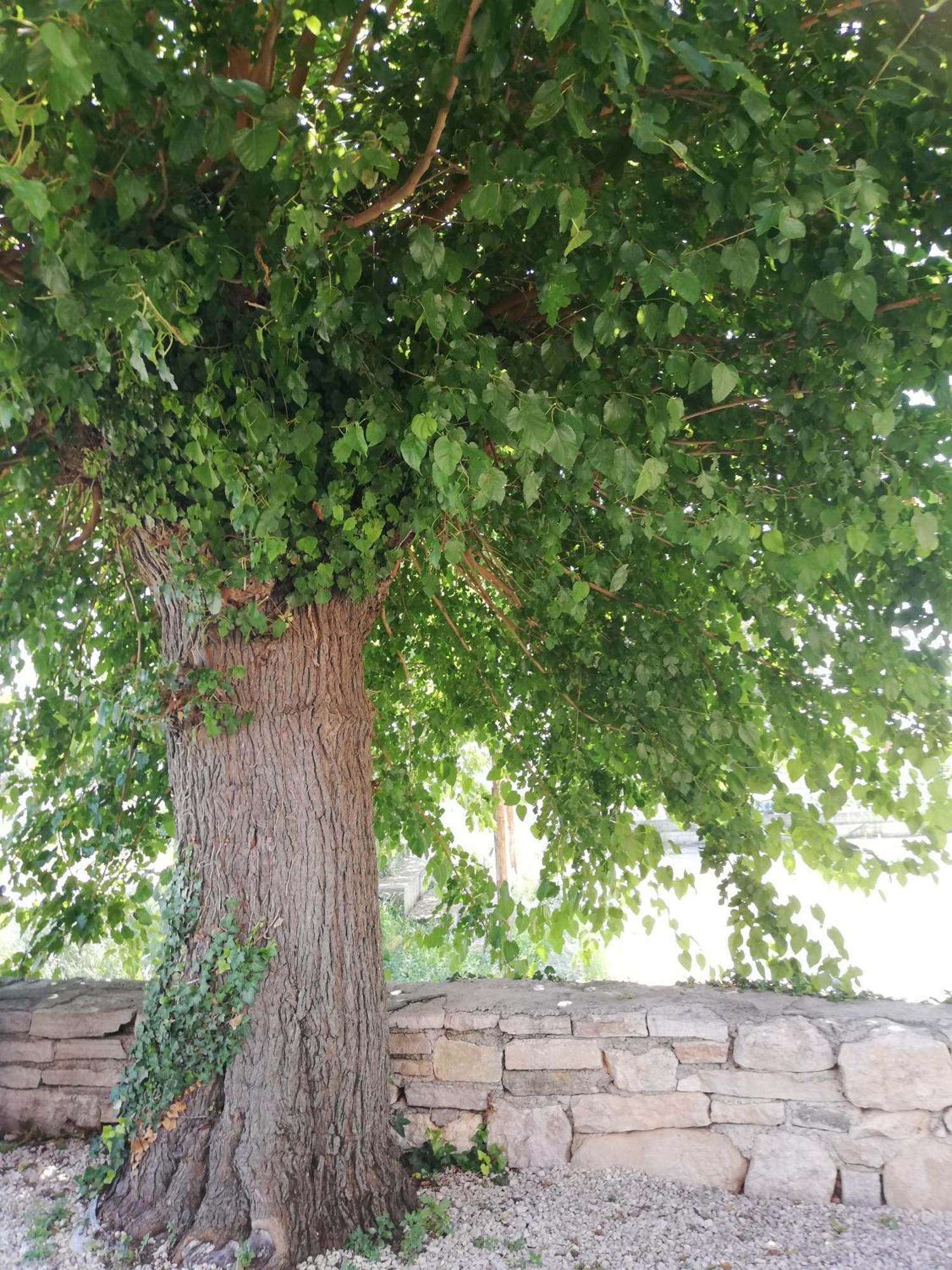 Lory Villa Sveti Lovreč Pazenatički Екстериор снимка