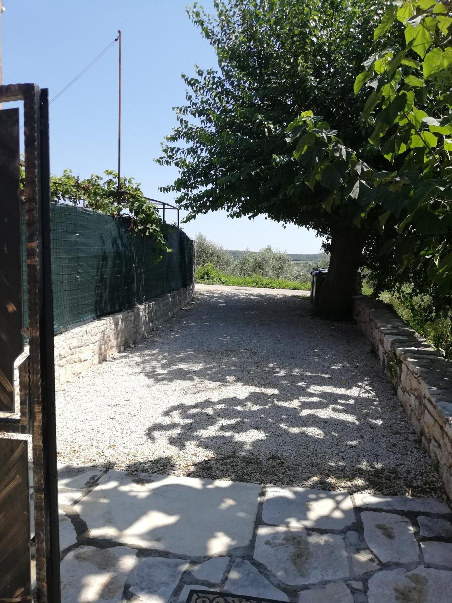Lory Villa Sveti Lovreč Pazenatički Екстериор снимка